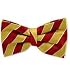 100% Silk Bow Tie - Garnet & Gold - FSU or USC Colors