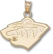 Minnesota Wild Logo 5/8" Charm/Pendant -14K/10K, Stainless Steel or Gold Plated