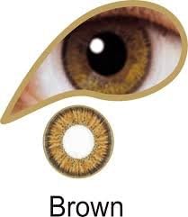 Eye Accessories Brown Lenses