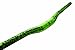 Race Face Atlas Mountain Bike Handlebar, Green Monster, 0.5-Inch