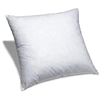 Euro 24' X 24' Pillow Insert