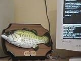 Big Mouth Billy Bass the Singing Sensation, 