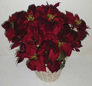 Velvet DOUBLE Poinsettia Burgundy