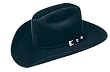 Resistol 20X Black Gold Hat
