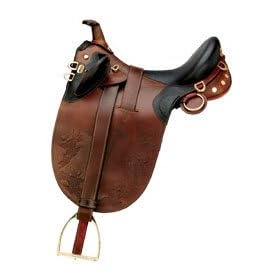 The Kimberley Poley With Horn