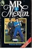 Mr Merlin 1