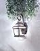 Minka Lavery Lights 8261-161 Small Wall Mount Mossoro Walnut WET Outdoor Lighting