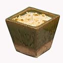 Fresh Bamboo Soy Candle in Wheat Glazed Ceramic Pot (Small Tapered)