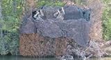 Camosystems Basic Series Ultra Lite 8' x 10' Camouflage Netting