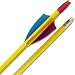 Sporting Goods : (Price/GRO)Standard Cedar Arrows (Gross), Wood, Arrows, Archery