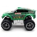 Radio Control Teenage Mutant Ninja Turtle Cowabunga Rally Car