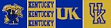 Kentucky Wildcats NCAA Licensed 6 H X 15' L Border