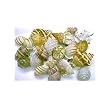 FMR HERMIT SHELL XLARGE 6PC
