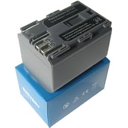 OLYMPUS PS-BLM1 Battery Charger for Home & Car + EU Adapter by Pexell