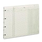 Wilson Jones GN2D Green End-Balance Ledger Forms, Both Sides Alike, 9-1/4X11-7/8, 100/Pack