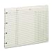 Wilson Jones GN2D Green End-Balance Ledger Forms, Both Sides Alike, 9-1/4X11-7/8, 100/Pack
