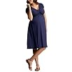 Gap Smocked Empire Dress