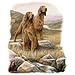 Gaelic Pride~irish Setter Adult Long Sleeve T-Shirt