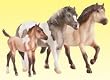 Pony Family Gift Set&nbsp;