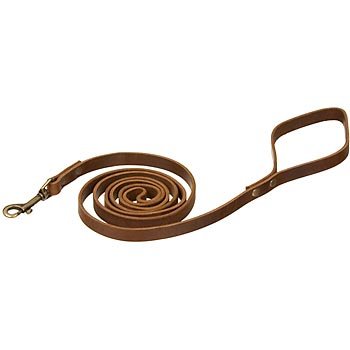 PETCO Leather 6' Dog Leash in Copper