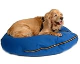 Sleeper Knife Edge Dog Pillow Size: Medium, Fabric: Holly