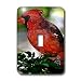 Birds - Cardinal Bird - Light Switch Covers - single toggle switch