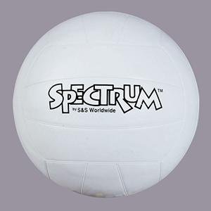 S&S Worldwide White Spectrum Volleyball