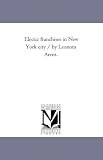 Electric franchises in New York City