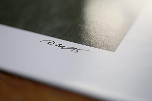 Abandoned Delivery Truck in Tall Weeds -- Black and white landscape photograph