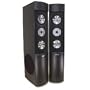 Canyon Audio Series 310-T Tower Speakers - Black