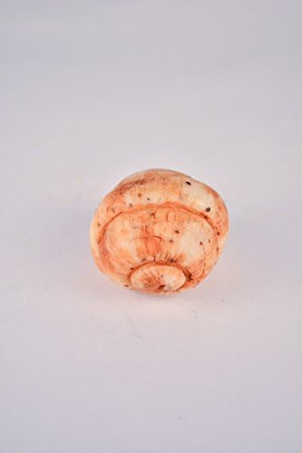 Dogwood Shell Soap - Hand-Millled, Double-Milled, Hand Crafted, Natural Ingredients, Essential Oils Unique Design