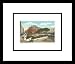 Public Library, Detroit, Michigan Framed Art Poster Print, 19x17