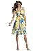Suzi Chin Cap-Sleeve Floral Silk Chiffon Dress
