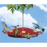 Perky Pet 221 Hummingbird Oasis Feeder, 16 oz capacity by Perky Pet