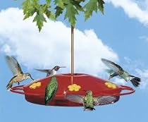 Perky Pet 221 Hummingbird Oasis Feeder, 16 oz capacity