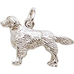 silver retriever charm