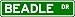 BEADLE Street Name Sign ~ Personalized Family Lastname Sign ~ Gameroom, Basement, Gar...