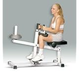 Giant Seated Calf Machine