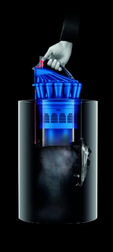Imagen 7 de Dyson DC32 Animalpro