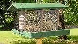 Double Hopper & Suet Bird Feeder