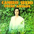 Letra de Entre amigos, Camilo Sesto