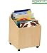 Big Book Storage Box by Guidecraft