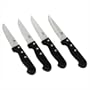 Chicago Cutlery Basics 4-pc Steak Knife Set (poly)