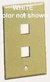 IC107F02WH - 2Port Face White