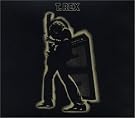 Electric Warrior