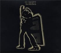Electric Warrior