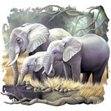 Distinguished Elephant Family Adult T Shirt While Its Still Available Elephant Family Adult T-Shirt
