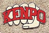 Red Kenpo Fist Patch