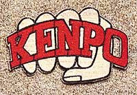 Red Kenpo Fist Patch