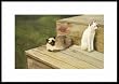 Summer Days by Drew Strouble